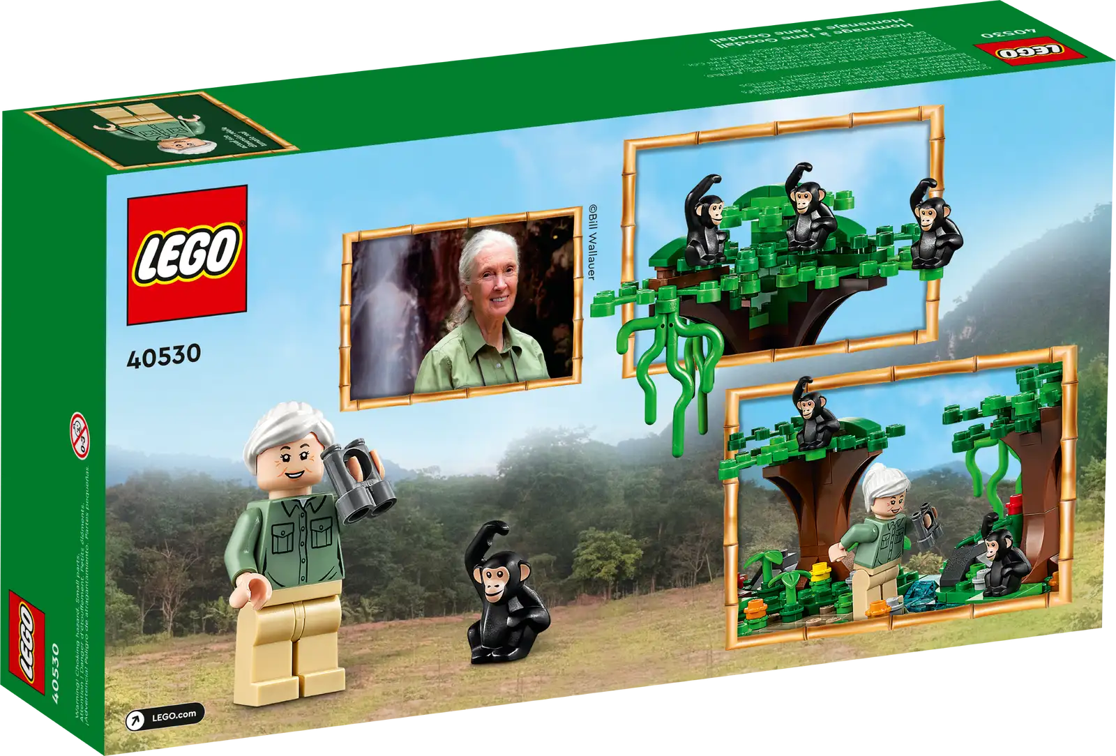 LEGO Jane Goodall Tribute GWP Set (40530) - Image 3